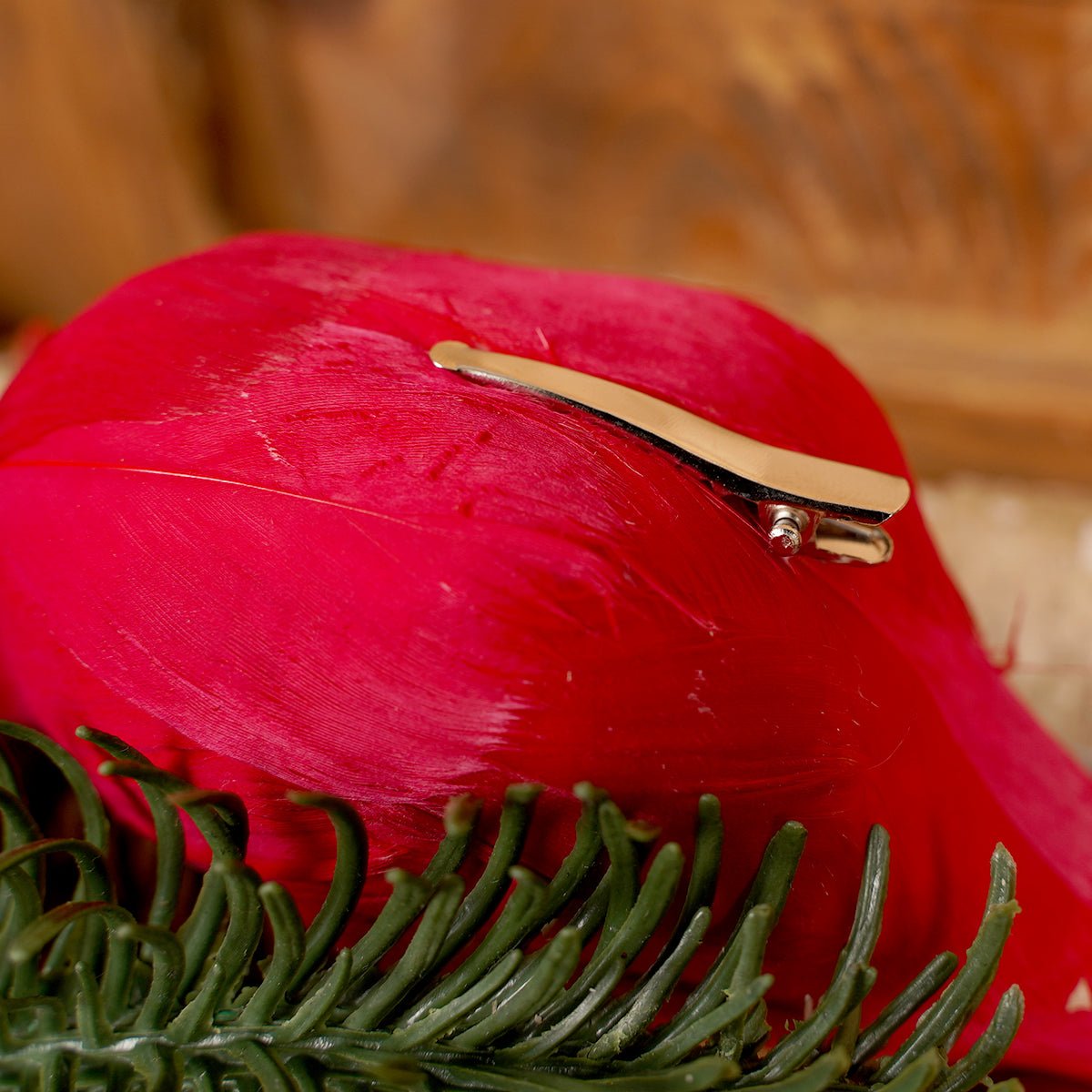 Cardinal Clip