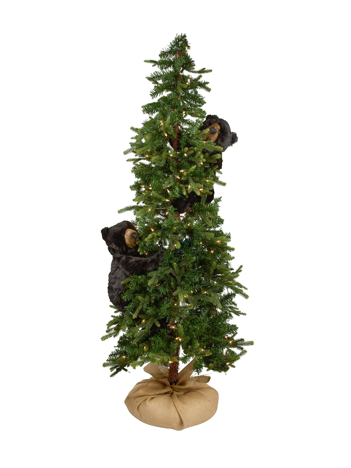 Black Bear Evergreen Tree