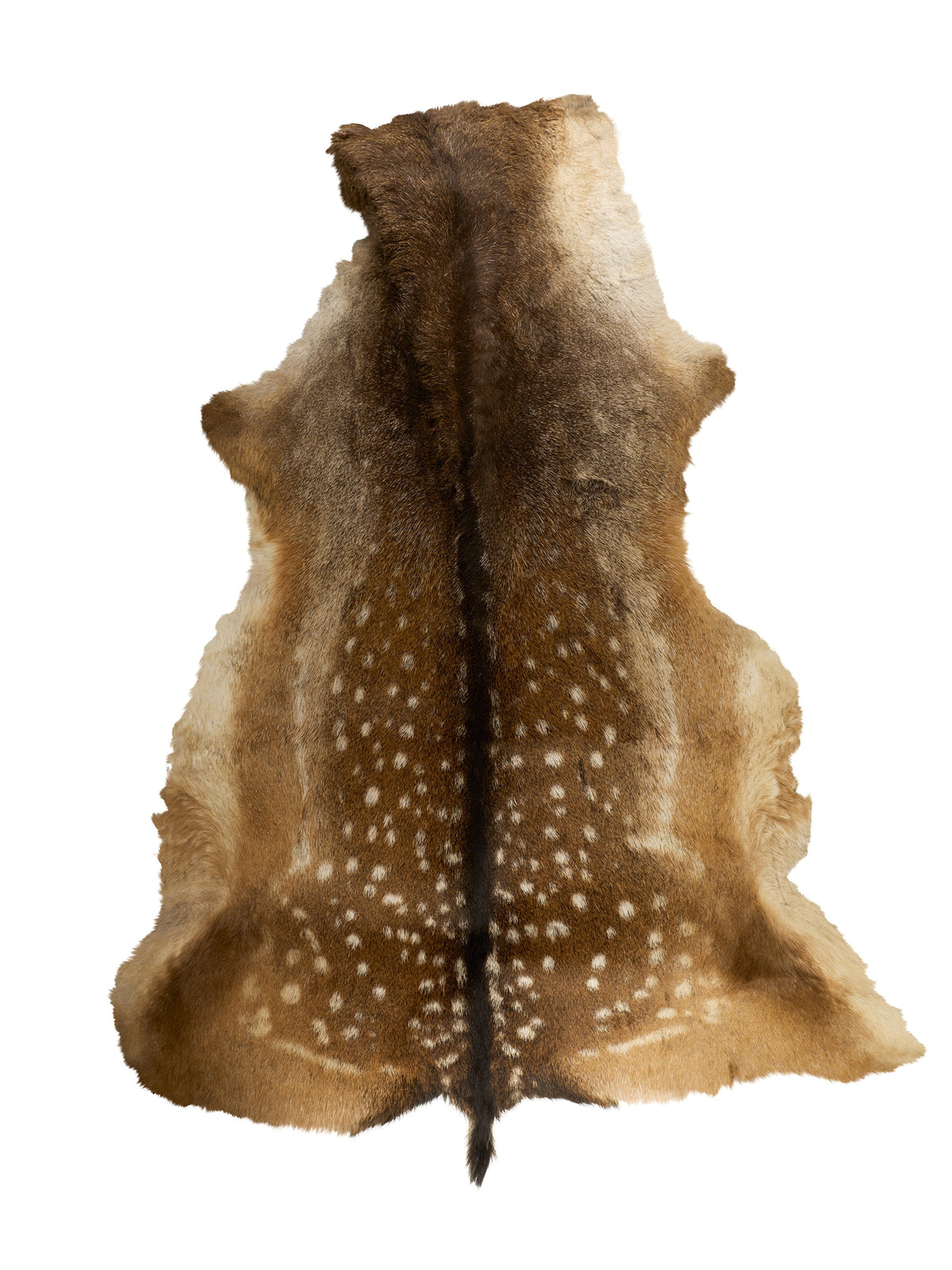 Fallow Deer Hide
