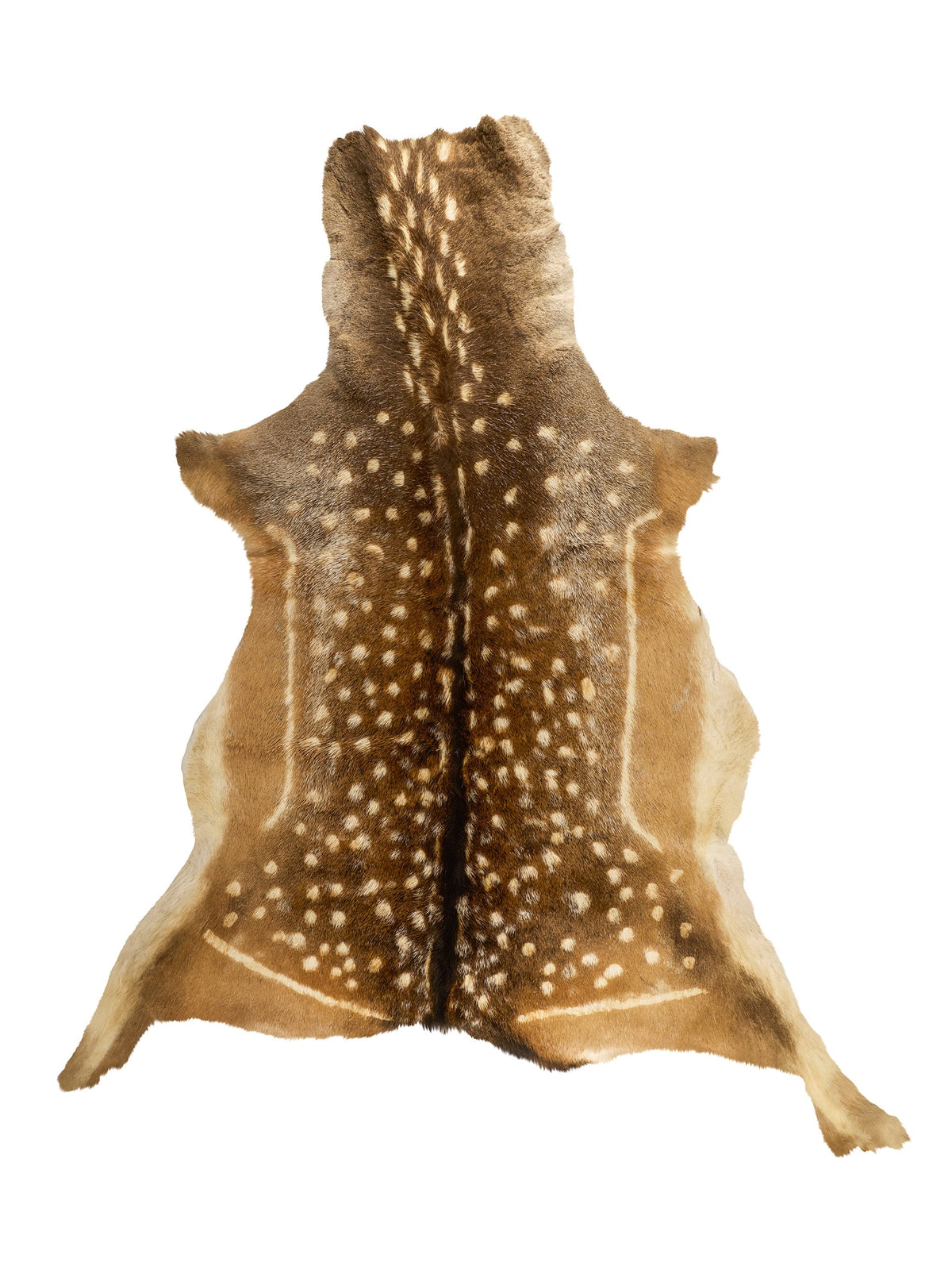Fallow Deer Hide