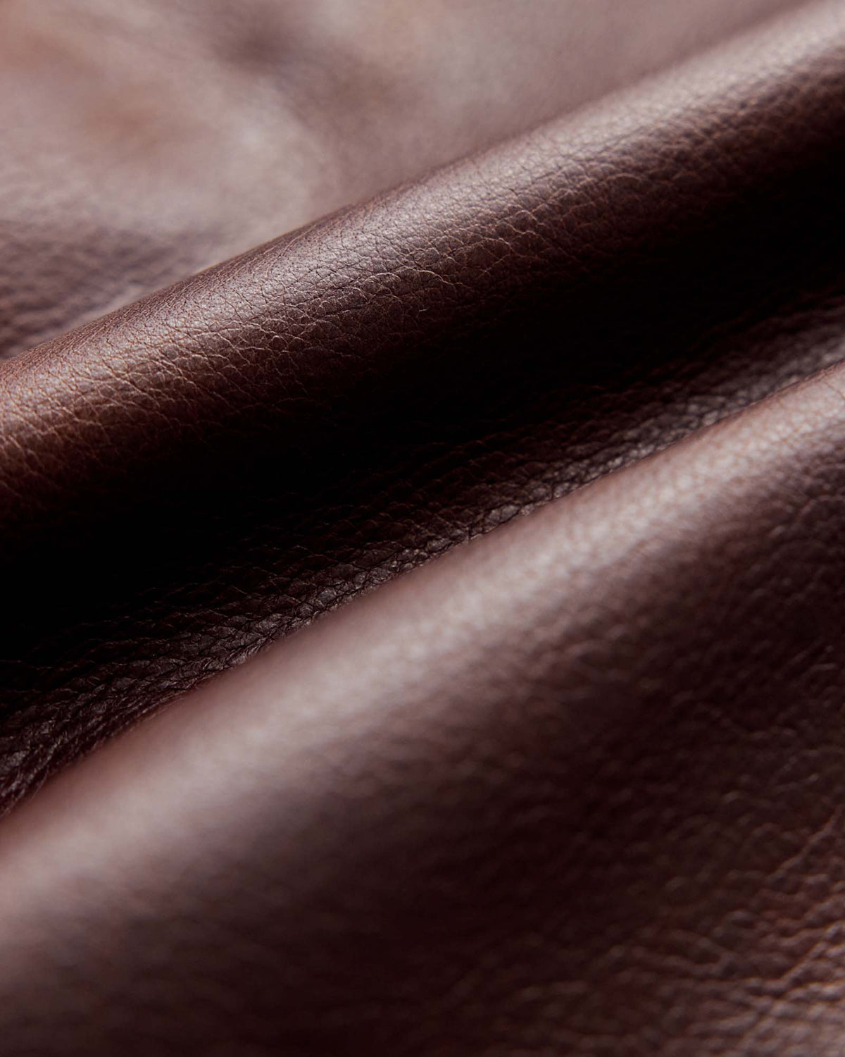 The Moto Jacket in Espresso Steerhide