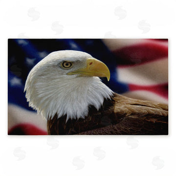 Collin Bogle | American Bald Eagle Non-Woven Door Mat